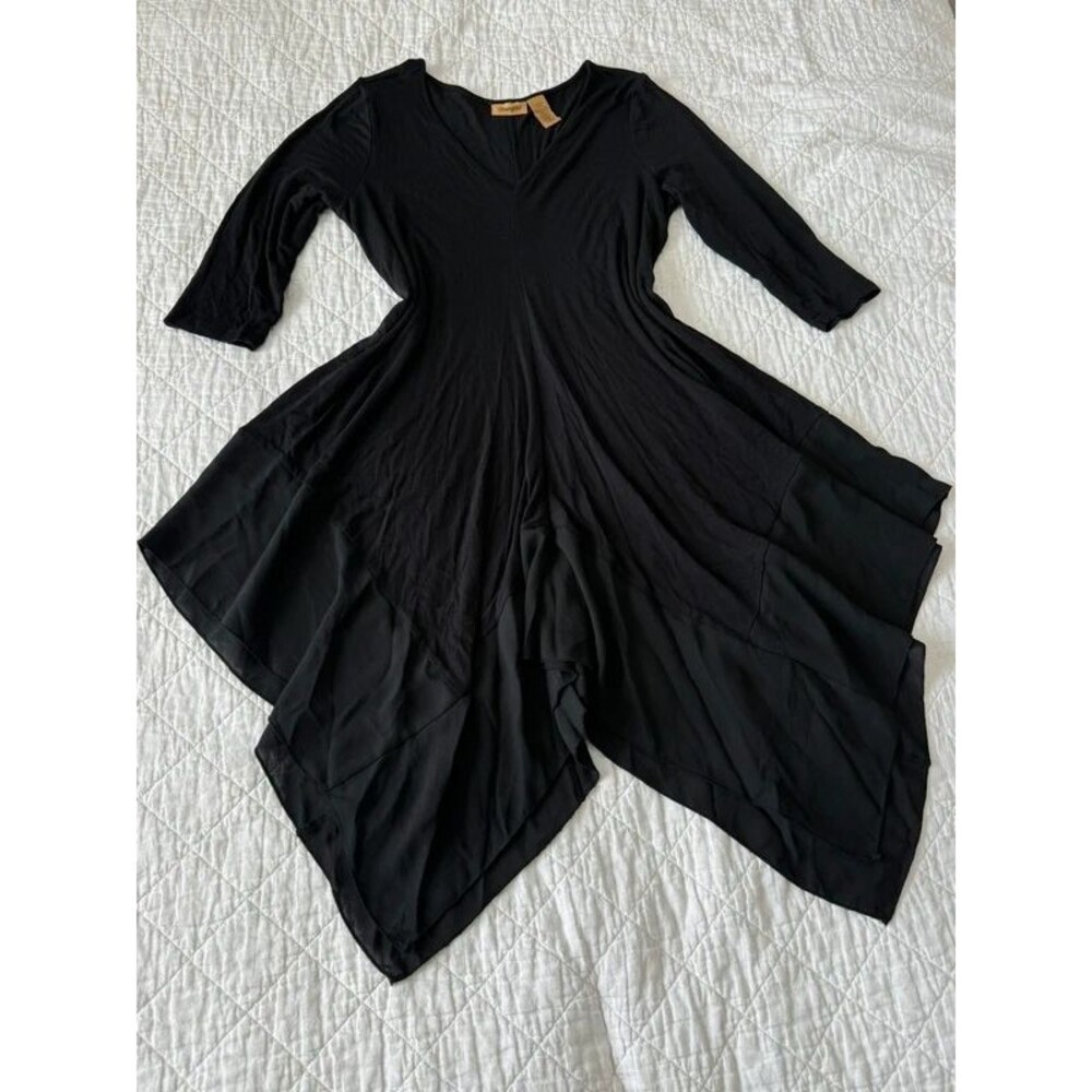 Wrangler Whimsygoth Asymmetrical dress